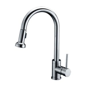 Kruger® Kora Kitchen Faucet